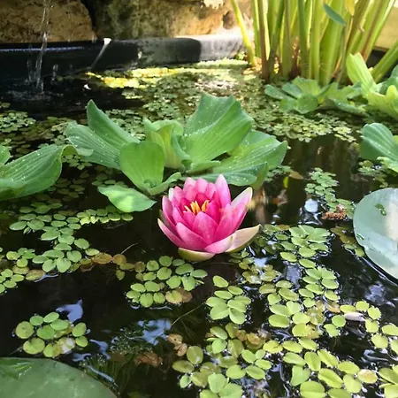 Les Jardins De Gaston *