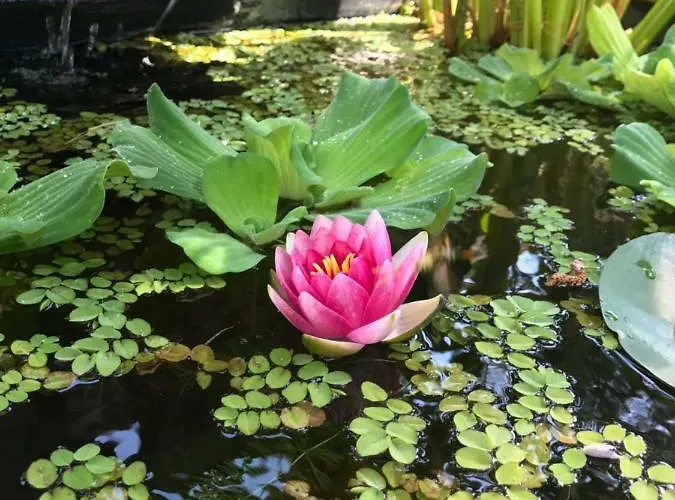 Les Jardins De Gaston *